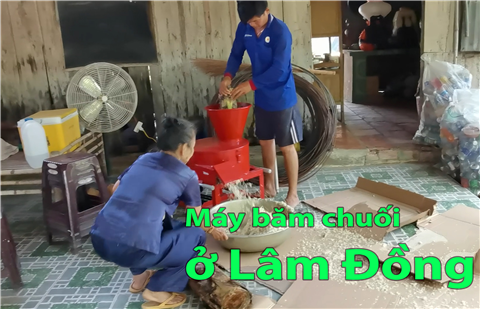 Máy băm chuối Hồ Chí Minh - Máy băm chuối giá rẻ - máy băm chuối TAKYO tại Hồ chí minh